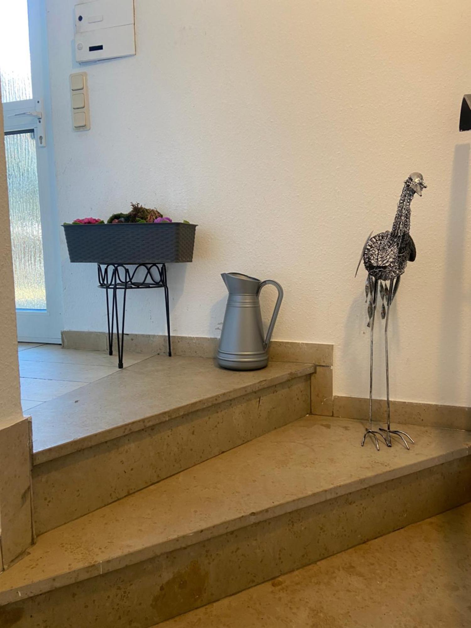 In Saarbruecken Stadtnahe Gemuetliche Wohnung Am Deutsch-Franzoesischen Garten Exteriér fotografie