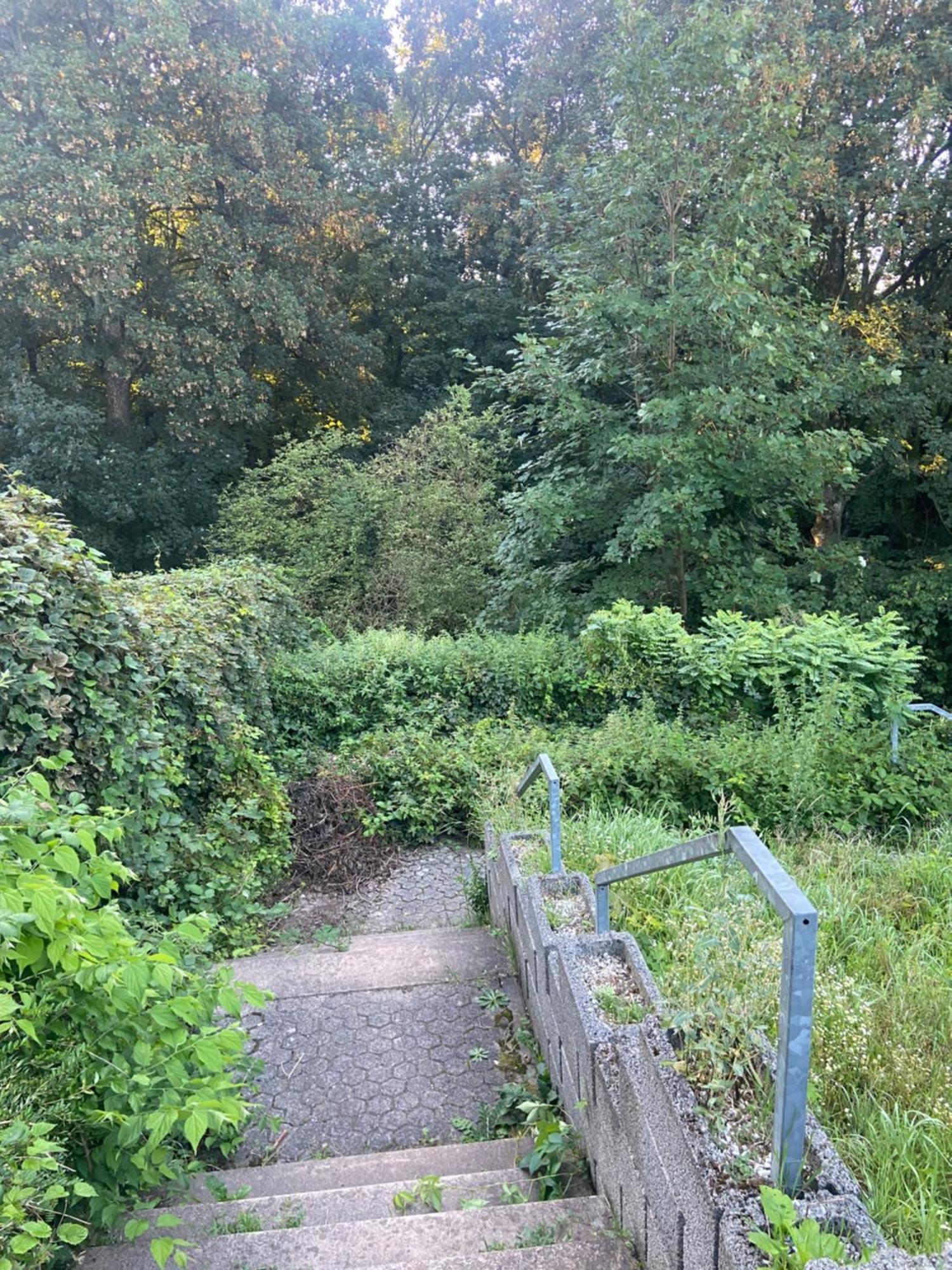 In Saarbruecken Stadtnahe Gemuetliche Wohnung Am Deutsch-Franzoesischen Garten Exteriér fotografie